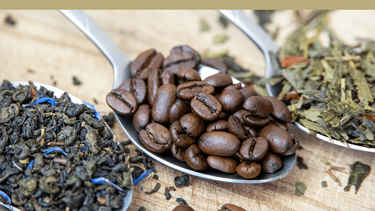 Té, café o mate; los beneficios de cada una de estas infusiones