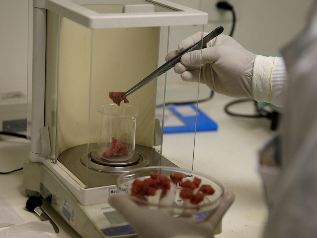 Una veterinaria analiza carne vacuna en