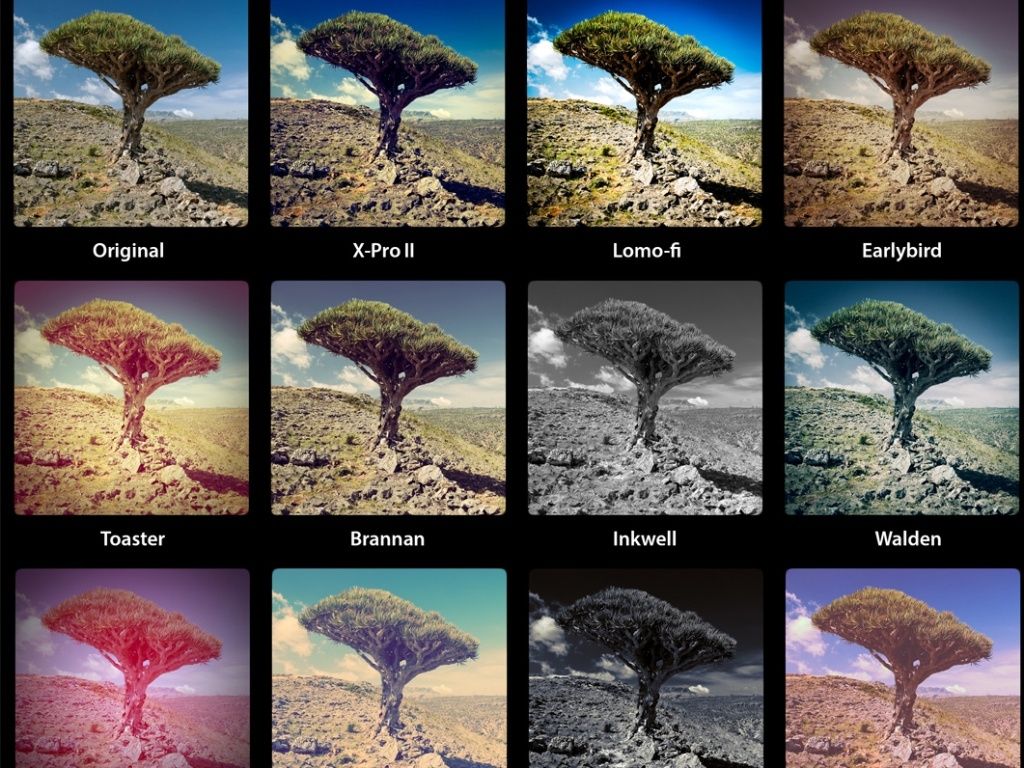 Filtos para fotos