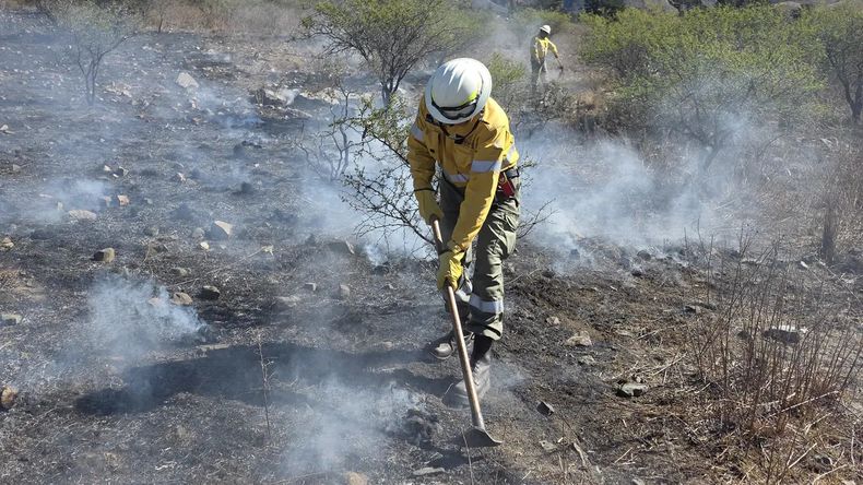 Alerta en Volcán: el viento reactivó el incendio forestal Alerta en Volcán: el viento reactivó el incendio forestal