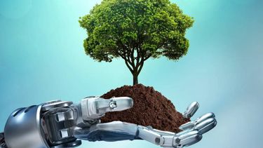 Del pánico al progreso: la inteligencia artificial y el mito del colapso ambiental