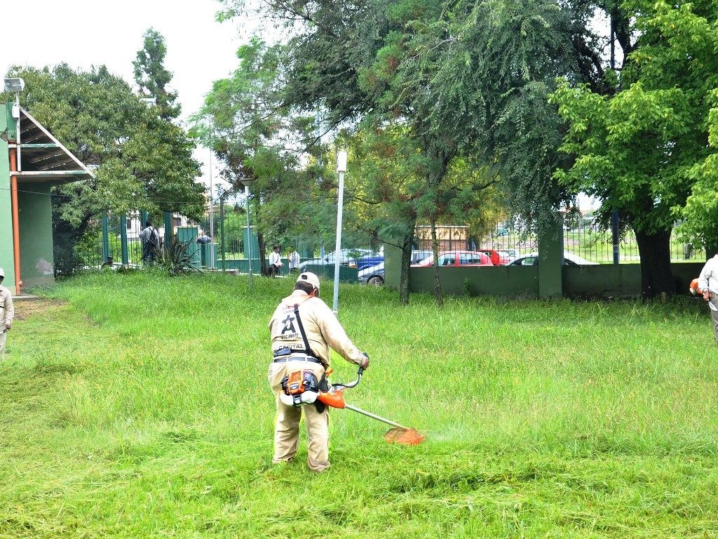 Dengue en Jujuy: incrementaron un 50% el desmalezamiento