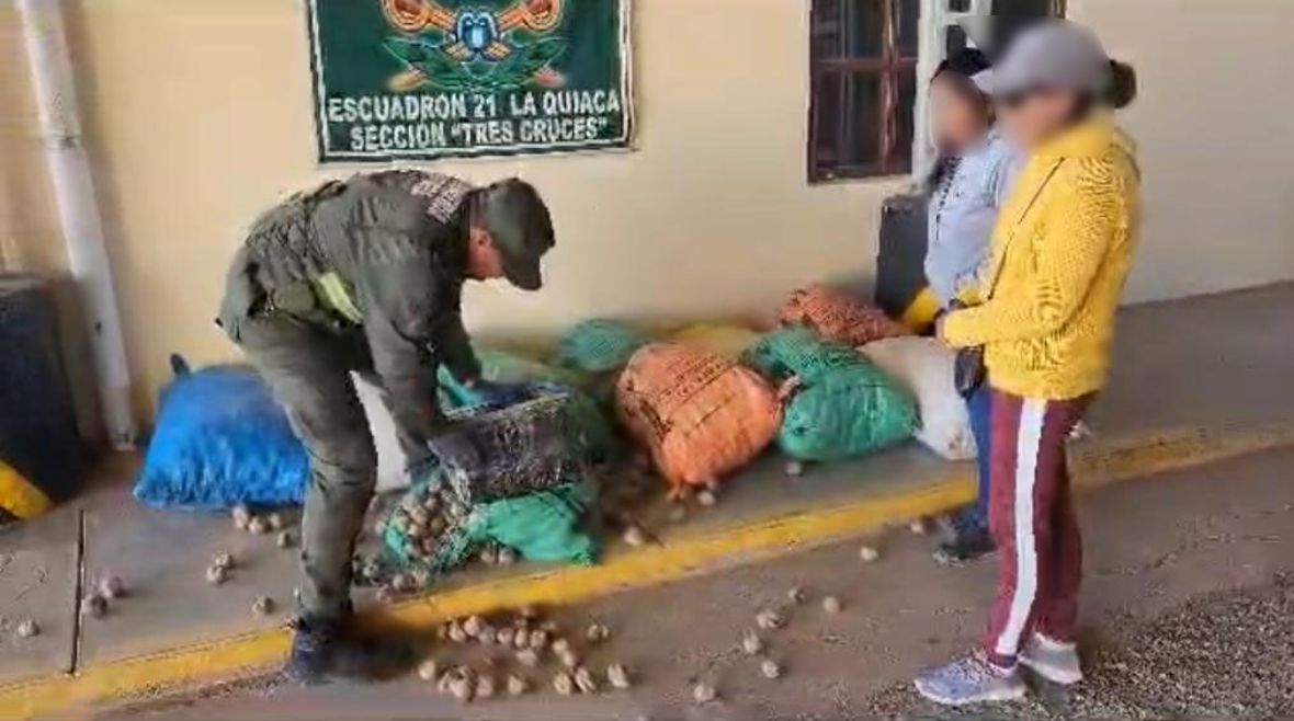 Tres Cruces: 45 kilos de hojas de coca en bolsas de papa