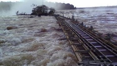 La crecida del Río Parana está causando estragos en los trabajadores que tienen ganado.