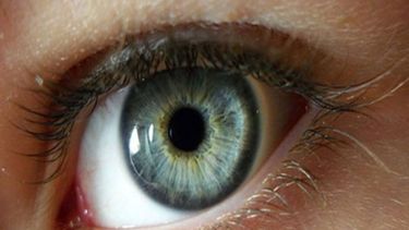 Día Mundial del Glaucoma.