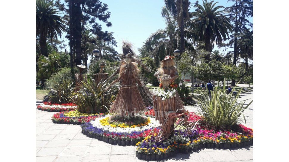 Conveflor en Jujuy