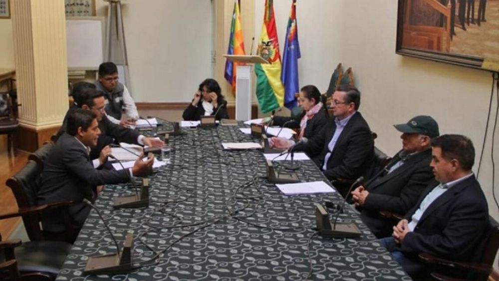 Definiciones: el Senado de Bolivia debate el llamado a elecciones