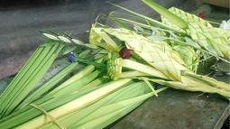 Domingo de ramos.