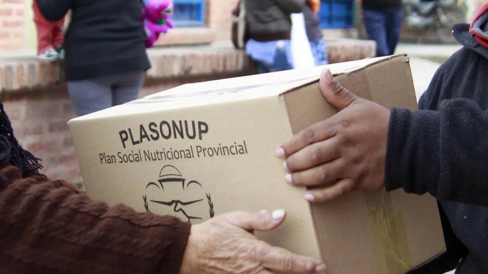 Plasonup