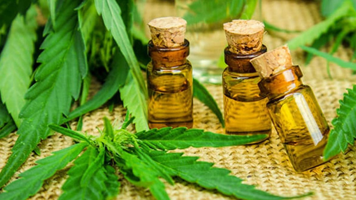 Todo Jujuy | Cannabis (1).jpg