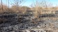 Una quema de pastizales provocó un gran incendio en Alto Comedero