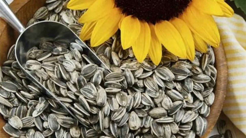 La ANMAT prohibió la comercialización de semillas de girasol y otros snacks