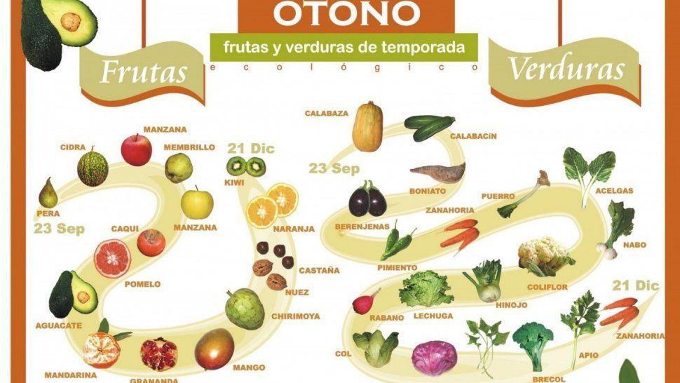 Atención Otoño: diez alimentos que te ayudan a eliminar toxinas de tu cuerpo
