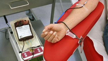 Semana de Hemoterapia: mural interactivo, colecta y estudios médicos