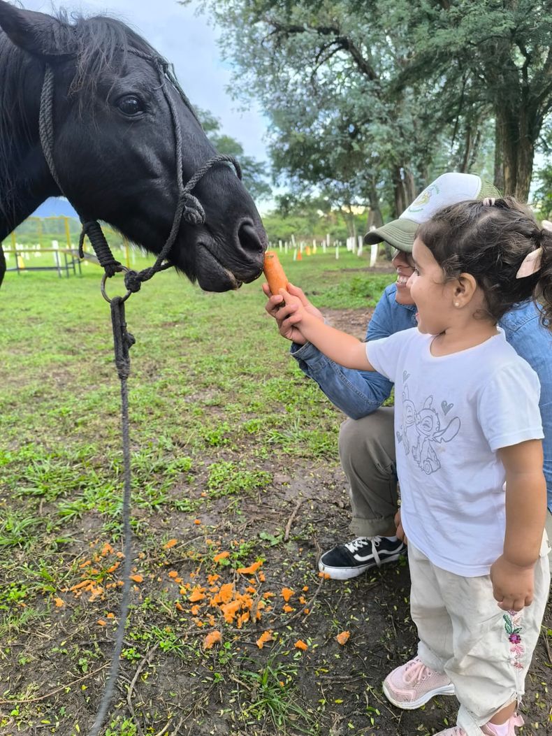 Fundación Jujeña de Equinoterapia. Fundación Jujeña de Equinoterapia.