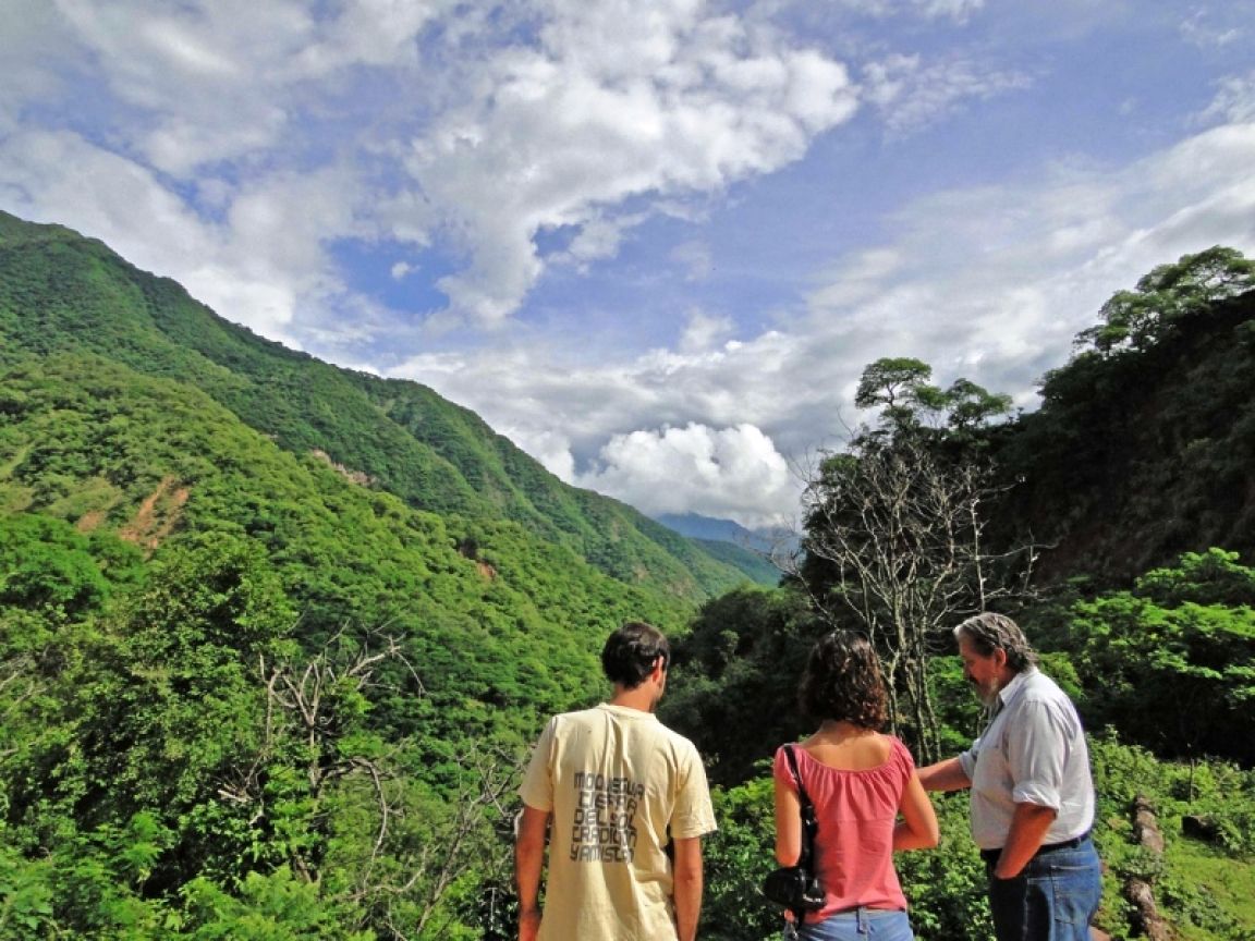 Las Yungas