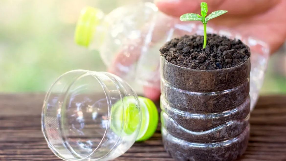 Reciclaje: ni barro ni cerámica, cómo transformar botellas de plástico en hermosas macetas