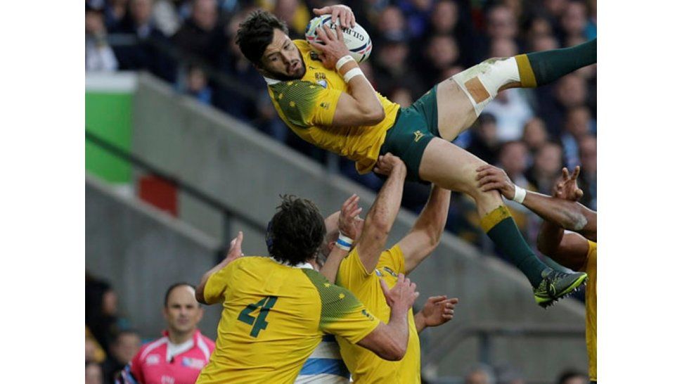 Los Pumas