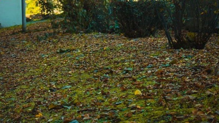 Otoño