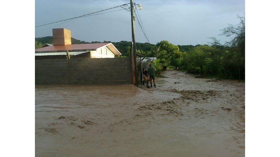 Los Alisos