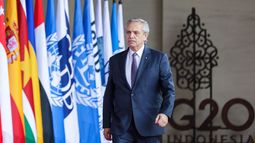 Alberto Fernández en el G20