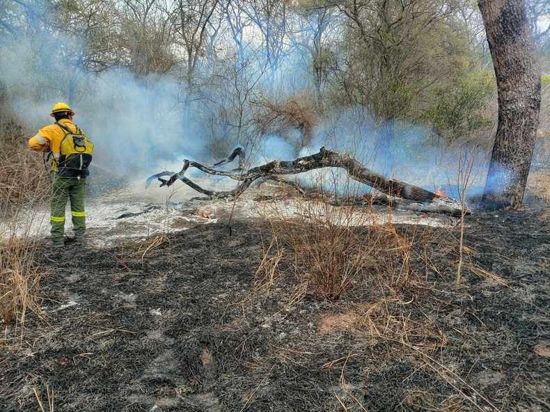 Incendios forestales en Jujuy.