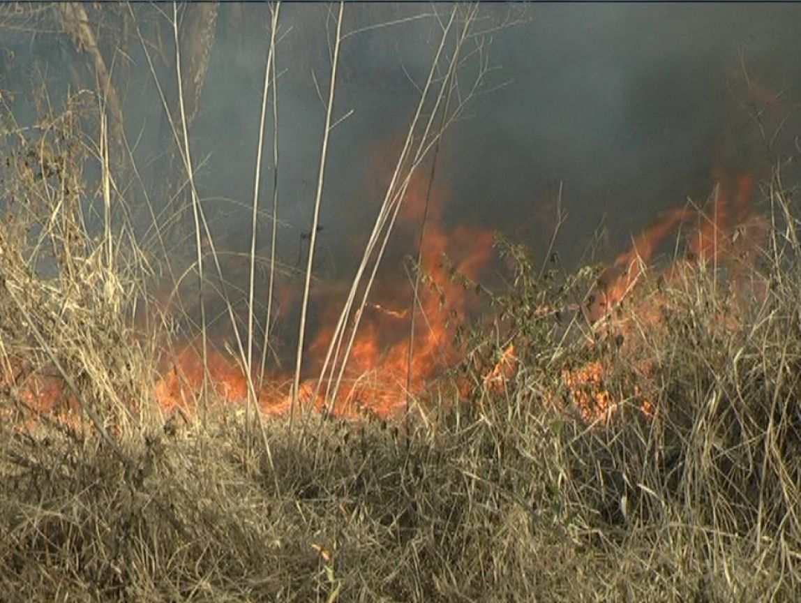 Incendios forestales