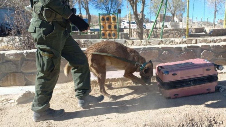 Transportaba 4 kilos de cocaína en La Quiaca y fue detenido