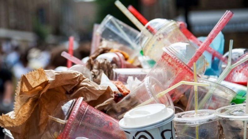 Una fecha para tomar conciencia sobre el cuidado del ambiente.