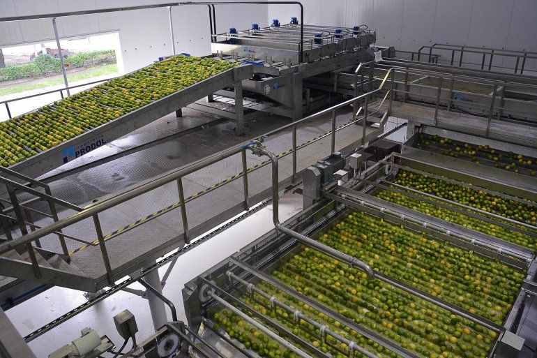Inauguración de la planta