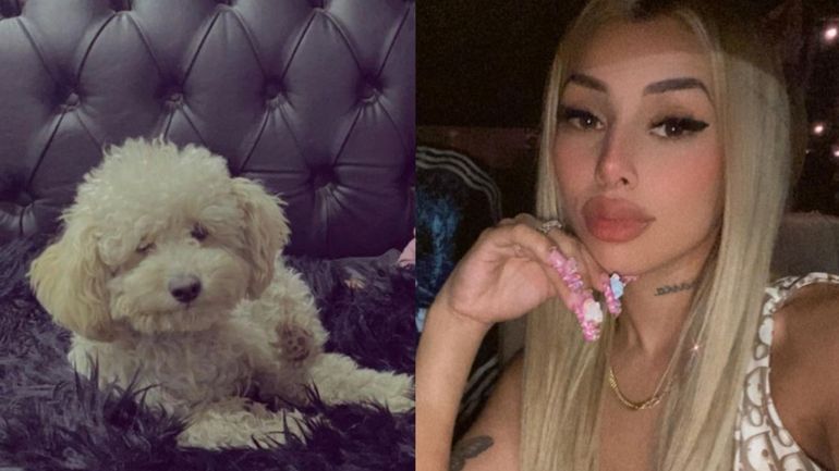 Tamara Báez, ex pareja de L-Gante, pidió ayuda en las redes sociales para encontrar a su perro. 