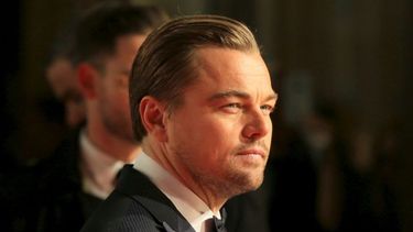 Leonardo DiCaprio destacó la recuperación de un yaguareté del Iberá.&nbsp;