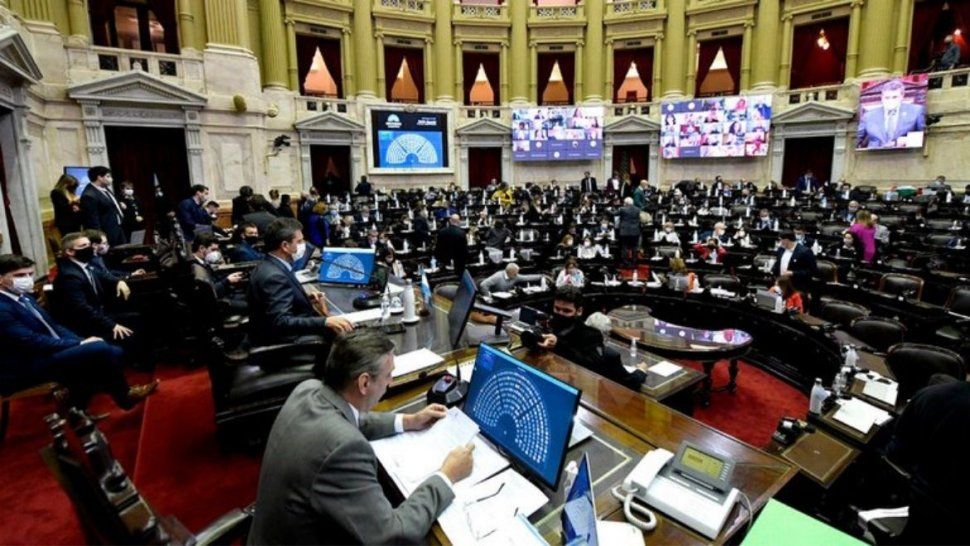 La Cámara de Diputados debate la ley.&nbsp;