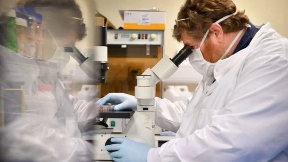 Revelan que los anticuerpos contra el coronavirus perduran hasta siete meses