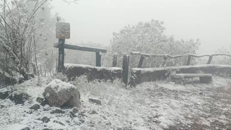 Reabrieron el Parque Potrero de Yala: hasta qué hora se puede ir