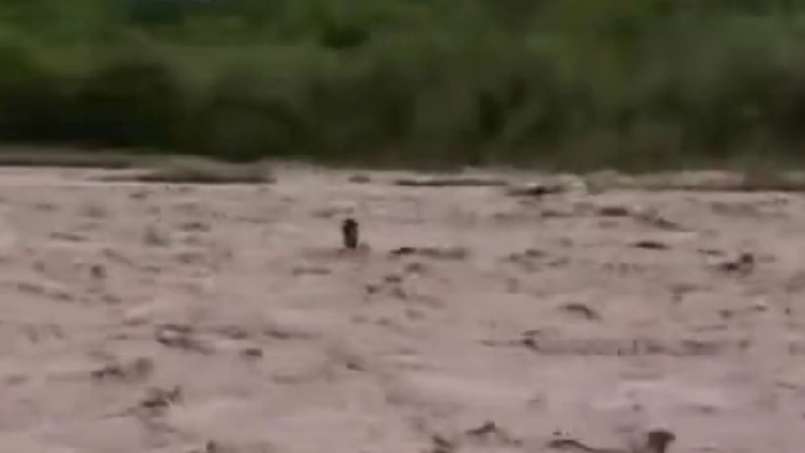 san pedro de jujuy: un hombre fue arrastrado por la crecida del rio grande