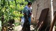 Dengue: 11 casos con desenlace fatal