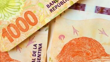 ANSES: nuevo IFE y pagos extras. ¿Cómo cobrarlos?
