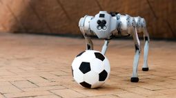Presentaron en Estados Unidos un perro robot que juega al fútbol.&nbsp;