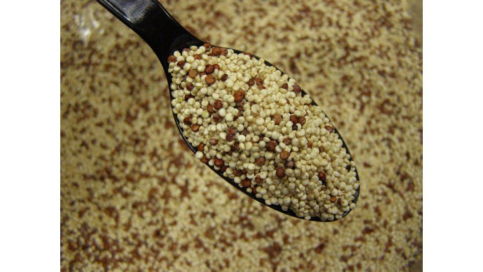 ¿Por qué es bueno comer quinoa?