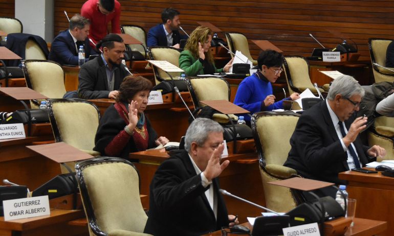 La Legislatura ratificó la creación de la Defensoría de los Derechos de Niños, Niñas y Adolescentes