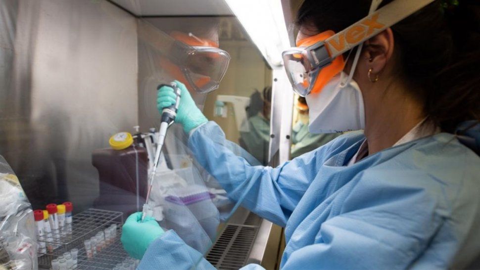 coronavirus en jujuy: confirmaron 255 nuevos casos y 10 muertes