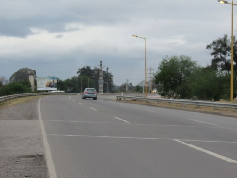 Dia del Camino