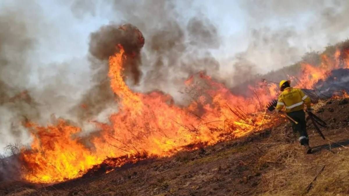 Incendios forestales en Jujuy - Imagen de archivo