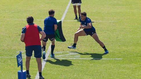 Todo Jujuy | pumas en jujuy (1)