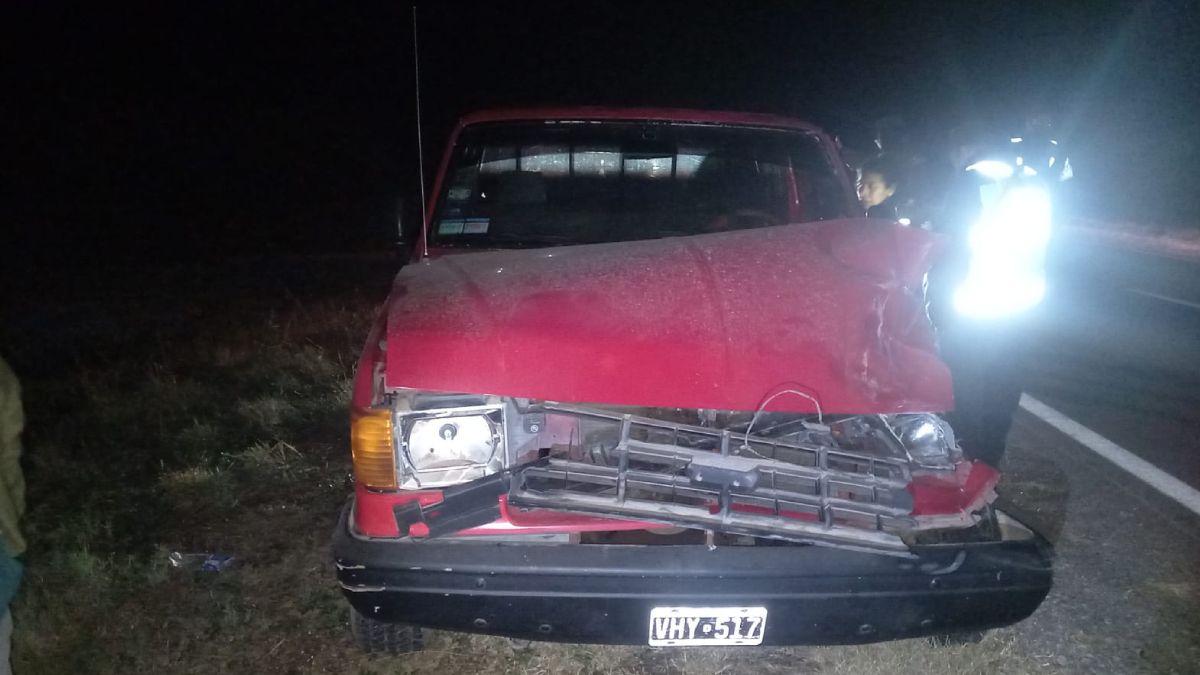 Una camioneta chocó contra un caballo en la Ruta Nacional 34