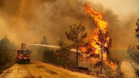 Todo Jujuy | Incendios forestales