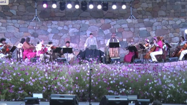 La Vendimia de El Bayeh 2026