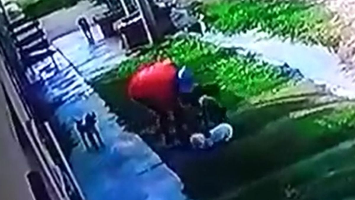 El robo ocurrió en el barrio Las Tipas de la localidad de Palpalá.