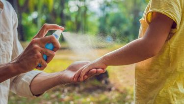 Creció la demanda de repelentes de insectos